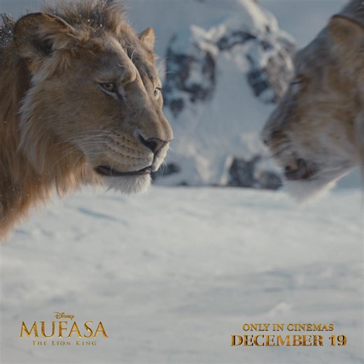 Long before they became legends, Mufasa and the Prince who would come to be known as Scar, became brothers. #Mufasa: The Lion King - in cinemas Thursday. Tickets on sale now at https://bit.ly/MufasaNZ. | Reading Cinemas Invercargill | Facebook