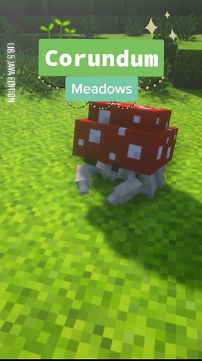 Colorful Biomes and New Mobs in Minecraft 1.16.5 Java Edition