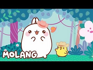🩵✨ The Jungle | Molang | Cartoons for Kids