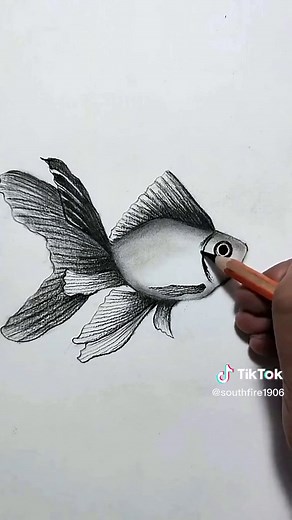 Step-By-Step Fish Drawing Tutorial: Easy Fish Drawing Techniques