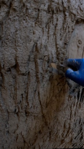 17K views · 290 reactions | Carving concrete to look like tree bark 蝹 #carving #carve #rockscapesofcanada #fauxrock #construction #design #decorativeconcrete #build #artist #art #verticalconcrete #concrete #artificialtree #nature #rockreplica #rocktheming #childrensmuseum #museum #fauxtree | Rockscapes | Facebook