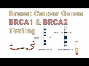 Breast Cancer Genes BRCA1 & BRCA2 Testing