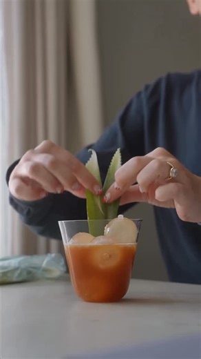 𝐓𝐡𝐞 𝐂𝐨𝐜𝐤𝐭𝐚𝐢𝐥 𝐁𝐢𝐛𝐥𝐞 on Instagram: "Surfer on Acid 🏄‍♀️ Created by 👩‍🔬 @she_thebartender 👌 Recipe ▪️Jägermeister - 1oz ▪️Malibu - 1oz ▪️Pineapple Juice - 1oz #cocktailsofinstagram"