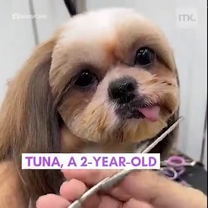 I think that may just be its regular face | In The Know