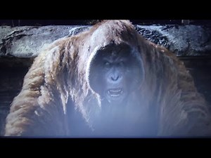 jungle book (2016): Orangutan Chase