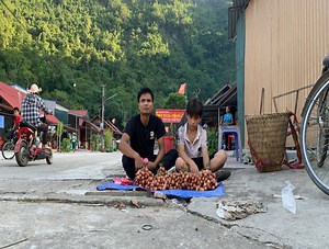 60K views · 2.7K reactions | Go to the market to sell forest fruits with the wandering boy Do. make money building a farm. | LifeStyle Skill | Facebook