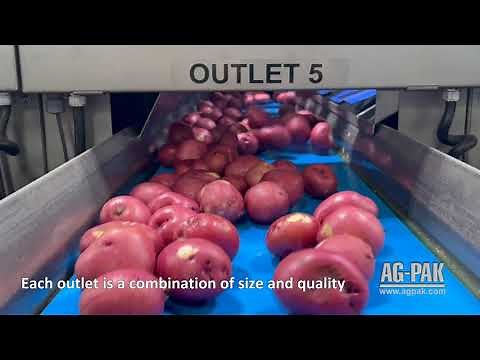 NEWTEC Celox P UHD Optical Grader Red and White Potatoes