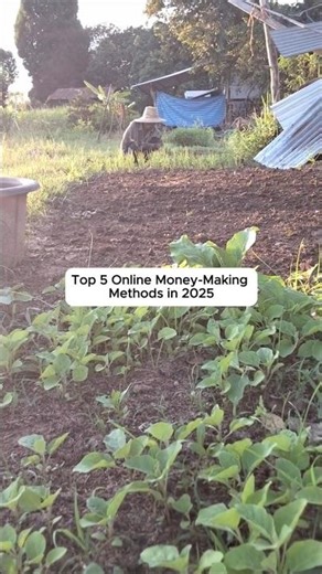 Top 5 Online Money-Making Methods in 2025