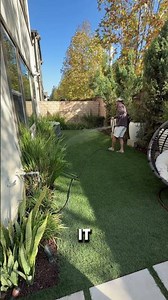 Enzyme cleaner for dog odors LawN order