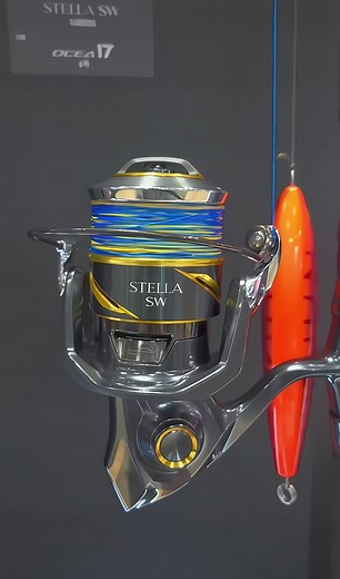 Shimano Stella SW Review: Best Fishing Reel Insights