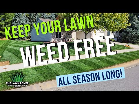 Pre Emergent: the ULTIMATE Weed Control For Your Lawn!