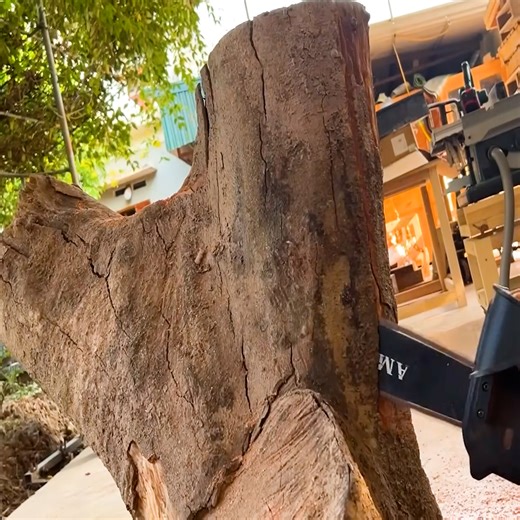 Turning A 100 Year Old Tree Stump Into A Stunning Work Of Garden Art | WT Team Woodworking