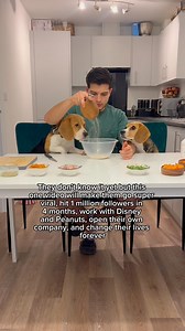 This was our first ever cooking with beagles video 👆🏼 posted on 7th January 2024. We posted it while having lunch at @wagamama_uk with Juan’s mum. Little did we know it was about to BLOW UP hitting 20 million views, and the next videos we post would get up to 160 million views… it was MIND BLOWING 🤯 We will forever be grateful to every single person who has supported us throughout this crazy journey and continues to do so 🐾 ❤️ LOVE YOU!! Also - if you were looking for a sign to start posting