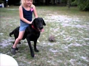 Every Kid Needs This Dog! Rides Like Horse