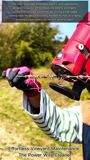 Effortless Vineyard Maintenance: The Power Wire Cleaner
