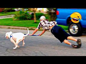 مواقف تموت من الضحك 🤣 افضل مقاطع مضحكة جدا 🤣مقاطع مضحكة للقطط 😁🤣