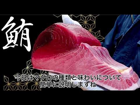 マグロの種類と味わいの違い