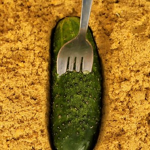 493K views · 221 reactions | Cast Anything at Home | Science, Tech and Universe | Facebook