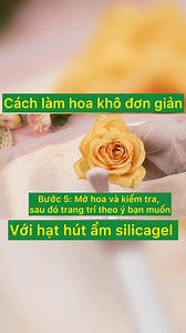 Làm Hoa Khô - Cùng Hạt hút ẩm Silicagel | Màng seal Sam Lan | Facebook