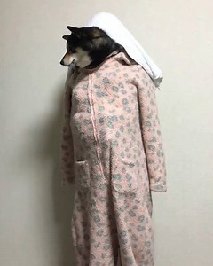 273K views · 3.4K reactions | Me: I'm gonna get an early night tonight, I have a big day tomorrow! Me at 3am: | Tyla | Facebook