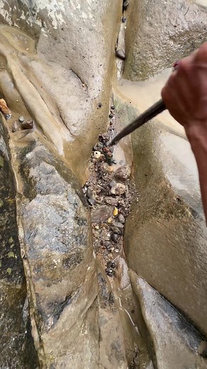 Heri Gold Mining: Discovering Amazing Gold Formations