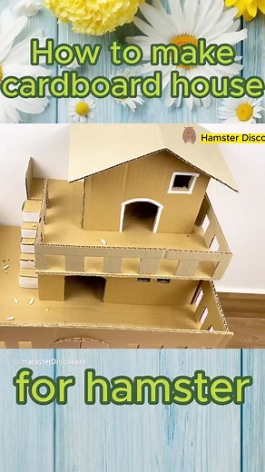 😱 How To Make Cardboard House For Hamster 🐹Hamster Discovery #shorts #hamsters #maze #cardboard #diy #hamsterdiscovery