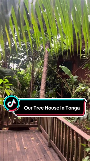 Discover the Tukulolo TreeHouse in Tonga