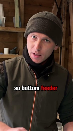 Trout hunt in the water column! #aquaculture #flyfishing #fish #fishfarming #fishfacts #farming