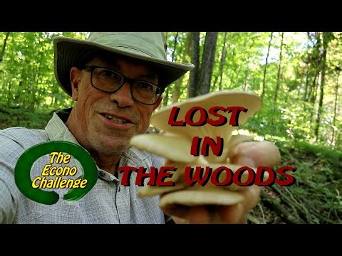 Lost In The Woods – Inspired by The Blair Witch Project