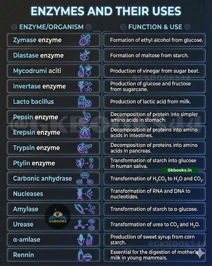 Enzymes are biological catalysts that speed up essential chemical reactions in living organisms and industries. From digestion to fermentation and industrial production, each enzyme has a specific role and function. This infographic provides a quick and clear overview of important enzymes and their practical uses—perfect for exams, revisions, and concept clarity. #Enzymes #BiologyNotes #Biochemistry #GeneralScience #ScienceInfographic #ExamPreparation #NEETBiology #CBSEBiology #EnzymeFunctions #