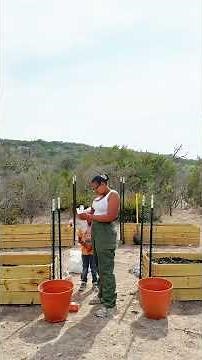 Planting Concord Grapes on Our Homestead | Dream Garden Series Pt 12