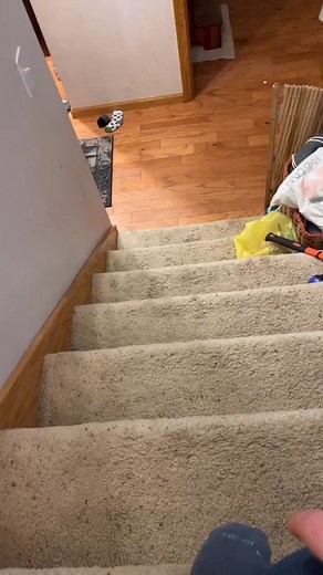 Secure and Sturdy Stair Gates for Your Child's Safety