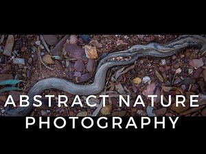 Abstract Nature Photography.