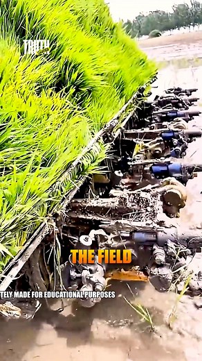 1.9K views | “Farming Revolutionized by Machines!” “See how machines are revolutionizing rice farming!” #FarmingInnovation #AgriTech #RiceFields #SmartFarming #ModernAgriculture | Truth Unlocked | Facebook