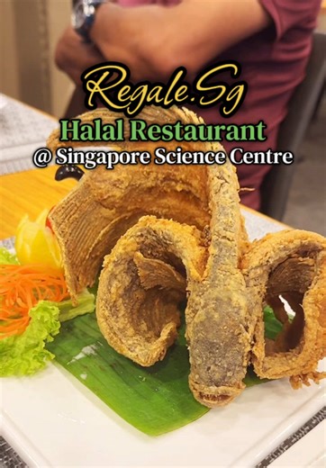 Regale Science Centre: Halal Restaurant in West Singapore