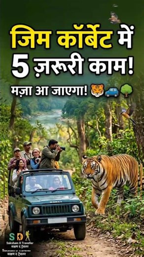 Jim Corbett National Park: Top 5 Things To Do! 🐅 #nationalpark