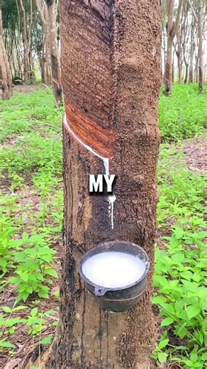 Olaf at Disneyland Paris: A Frozen Adventure Awaits