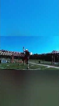 Shaolin Miao An ☯🙏 Short Mix of Qi Xing Quan & Da Hong Quan ☯🙏