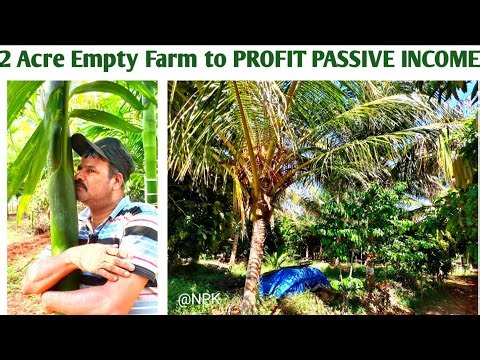 How I developed 2 Acre Empty Farm into PROFIT PASSIVE INCOME ?!? | Farm Tour