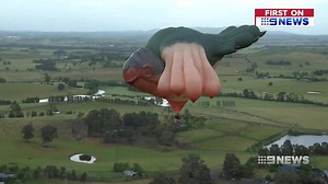 70K views · 310 reactions | A mysterious and mythical creature has...