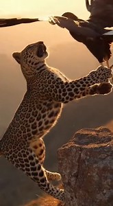 183K views · 1K reactions | Nature has no script. One second, the...