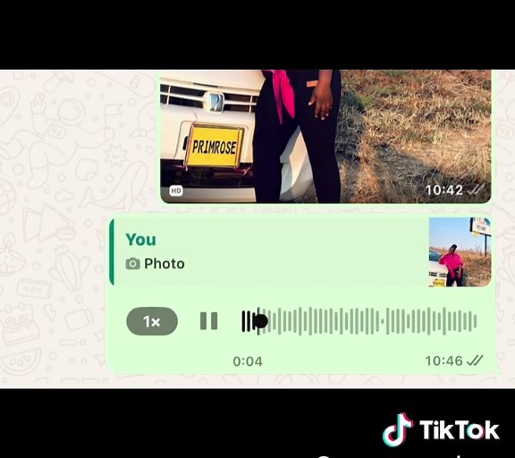 Awesome_Apple.zW (@awesome_apple.zw)’s videos with original sound - Awesome_Apple.zW