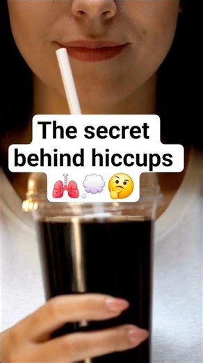 What Really Happens When You Hiccup? 🤔 🤔 #shorts #youtubeshorts #reels #viralvideos #funfacts