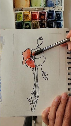 Comment peindre un coquelicot à l’aquarelle? (facilement) #aquarellefacile #aquarelle #coquelicot