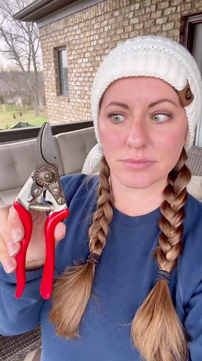 How to Clean Garden Tools: Rust Removal Tips