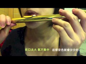 長笛氣流觀察器 Pneumo Pro for Flute