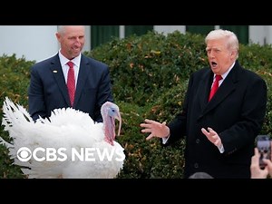 The origins of the presidential turkey pardon