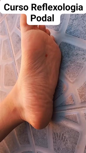 Aprende REFLEXOLOGIA PODAL y empieza a aliviar dolencias de familiares y amigos 👣✨✨ 📌Para más información ve al link del primer comentario 👇🏼 . . #reflexologiademano #cursodereflexologia #ejerciciosencasa #tristeza #emocionales #SinPastillas #reflexologiapodal #reflexoterapiapodal #tipsdesaludybienestar #texas #medicinatradicionalchina #medicinatradicionalchinesa #usa #mexico #peru | Reflexoterapia - Salud desde tus pies