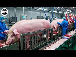 Mind-blowing Machines Operating At An Insane Level | The Most Satisfying Factory Tech! #32