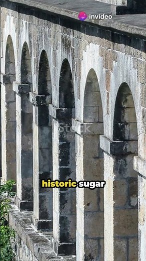 Saint Kitts and Nevis: A Journey Through Time